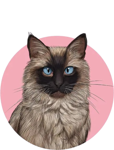 Croquettes chat Gosbi